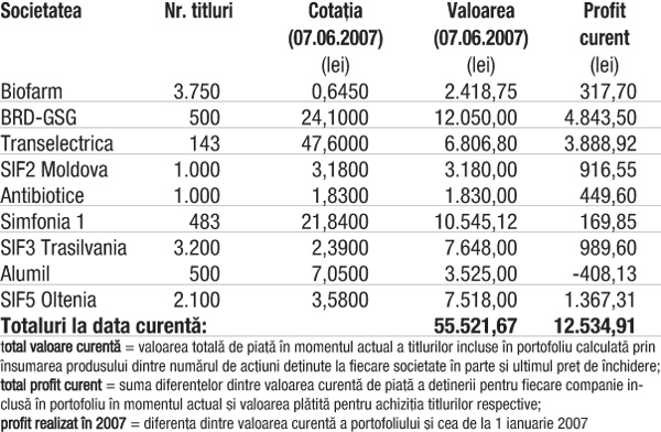 Profitul portofoliului virtual capital în 2007 4.952,82 lei (9,79%)
