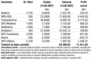 Profitul portofoliului virtual capital în 2007 3.829,17 lei (7,57%)
