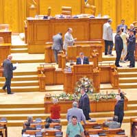 Parlamentul a votat pensii cu dedicaţie