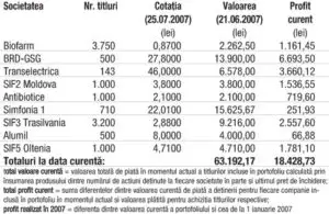 Profitul portofoliului virtual capital în 2007 12.623,32 (24,96%)