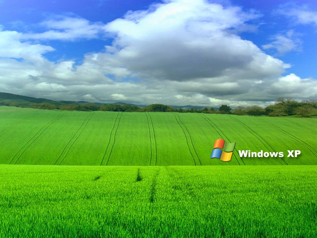 Milioane de utilizatori de PC renunţă la Windows XP