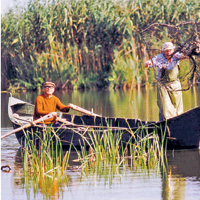 Ghidul începătorului pentru pescuitul în Deltă