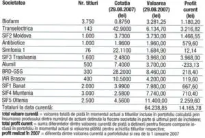 Profitul portofoliului virtual capital în 2007  14.165,78 (27,03%)