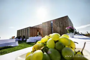 AMB Wine, investiții de 3 milioane de euro în proiectul vinurilor Liliac