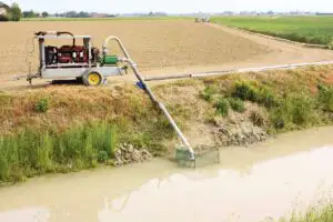 Spaniolii sunt interesați de agricultura românească