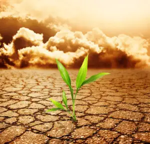 AVERTISMENT: Planeta pierde anual 12 milioane de hectare de teren agricol