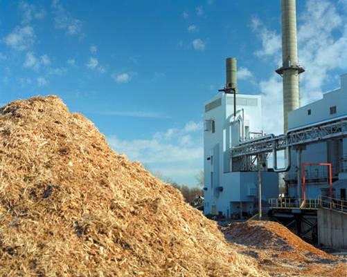 Italienii de la Romita vor construi la Bonţida una dintre cele mai mari centrale pe biomasă din S-E Europei