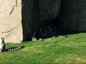 Ce să nu ratezi când ajungi în Valencia (III)