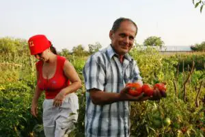 Cu cât contribuie agricultura românească la PIB? Vezi o comparație cu țările din estul Europei