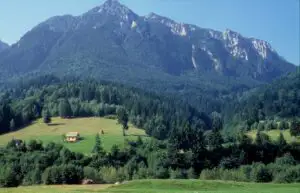 Financial Times: „Carpații, echivalentul european al Yellowstone National Park”