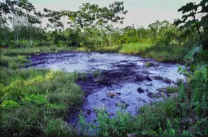 Chevron scapă de o amendă de 9,5 miliarde de dolari