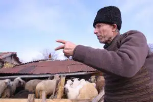 Convențiile APIA pentru finanţarea agricultorilor, condiţionate de volumul creditelor acordate de bancă