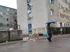 PROIECT: Străzile Capitalei ar putea fi spălate cu jet de apă sub presiune