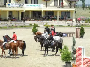 „Investiţia într-o bază hipică, business profitabil pe termen lung” l FOTO