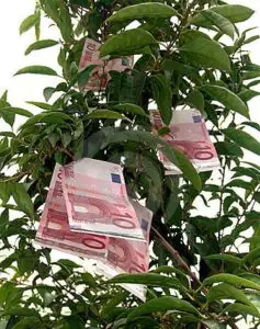DEZASTRU: Investiţiile străine directe, de 15 ori mai mici decât în 2008
