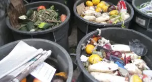 Europenii aruncă anual 180 kg de mâncare pe cap de locuitor