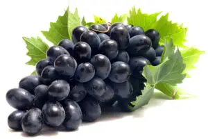 Preţul strugurilor de vinificaţie s-a prăbuşit la 0,5 lei/kg