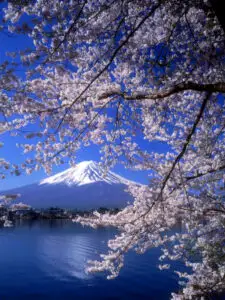 Un nou seism major ar putea devasta Japonia în următorul an şi jumătate