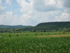 România, locul 6 în UE în ceea ce priveşte suprafaţa agricolă utilizată