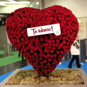 Cum arată un buchet de flori care costă 6.200 de euro