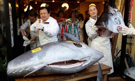 Un japonez a dat 1,4 milioane de euro pe un peşte
