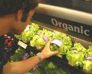 Produsele eco se vor ieftini cu 13% în 2012. De ce costă uneori chiar dublu în comparație cu produsele convenționale?