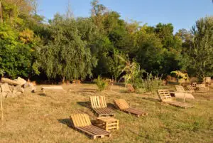 Adio, mici, manele şi grămezi de gunoi lăsate pe oriunde. S-a lansat prima zonă de PICNIC 100% ECO din România