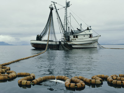 UE pledează pentru un ”management durabil al pescuitului” în Mediterana şi Marea Negră