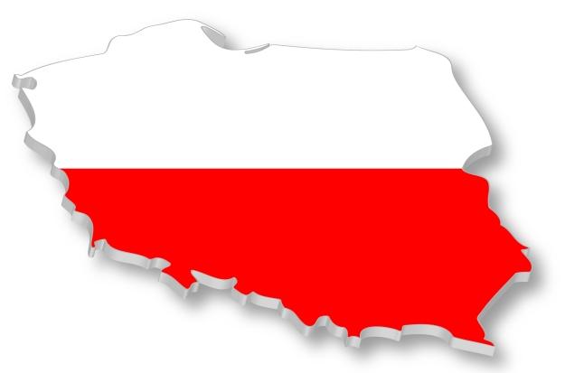 Patru companii de stat vor construi prima centrală nucleară din Polonia
