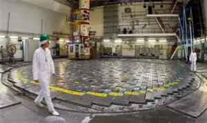 Reactor nuclear oprit din cauza unor… meduze