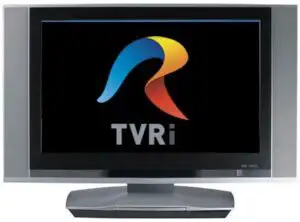 Camera a adoptat tacit proiectul lui Prigoană prin care TVR Internaţional trece în subordinea MAE