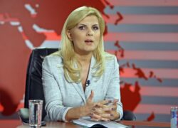 Elena Udrea: Nu ne permitem să reducem TVA pentru alimente