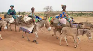 Banca Mondială: 30 de milioane de africani au migrat din ţările de origine