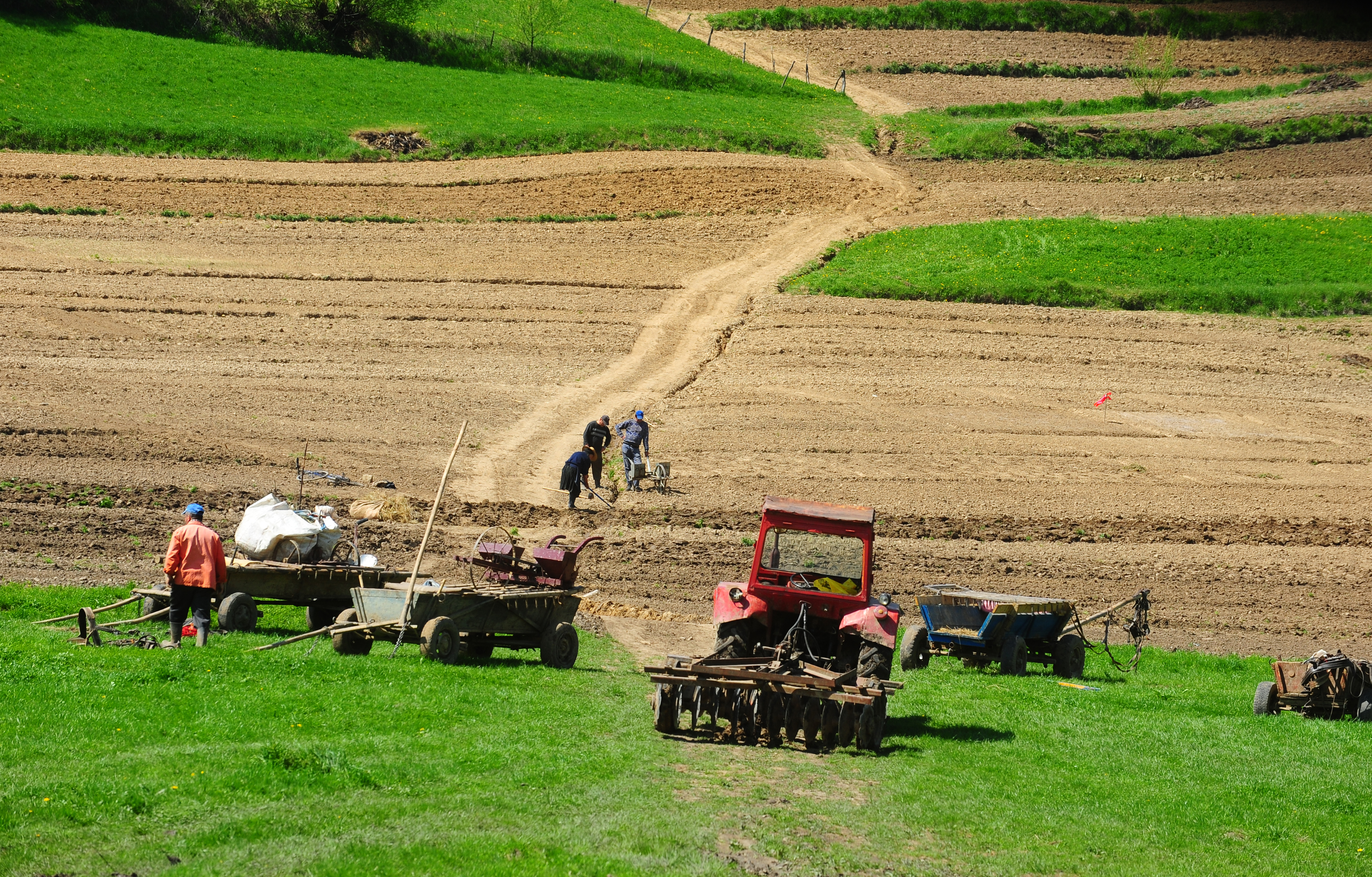 De ce vin străinii să ne cumpere terenul agricol. Suntem incredibil de ieftini