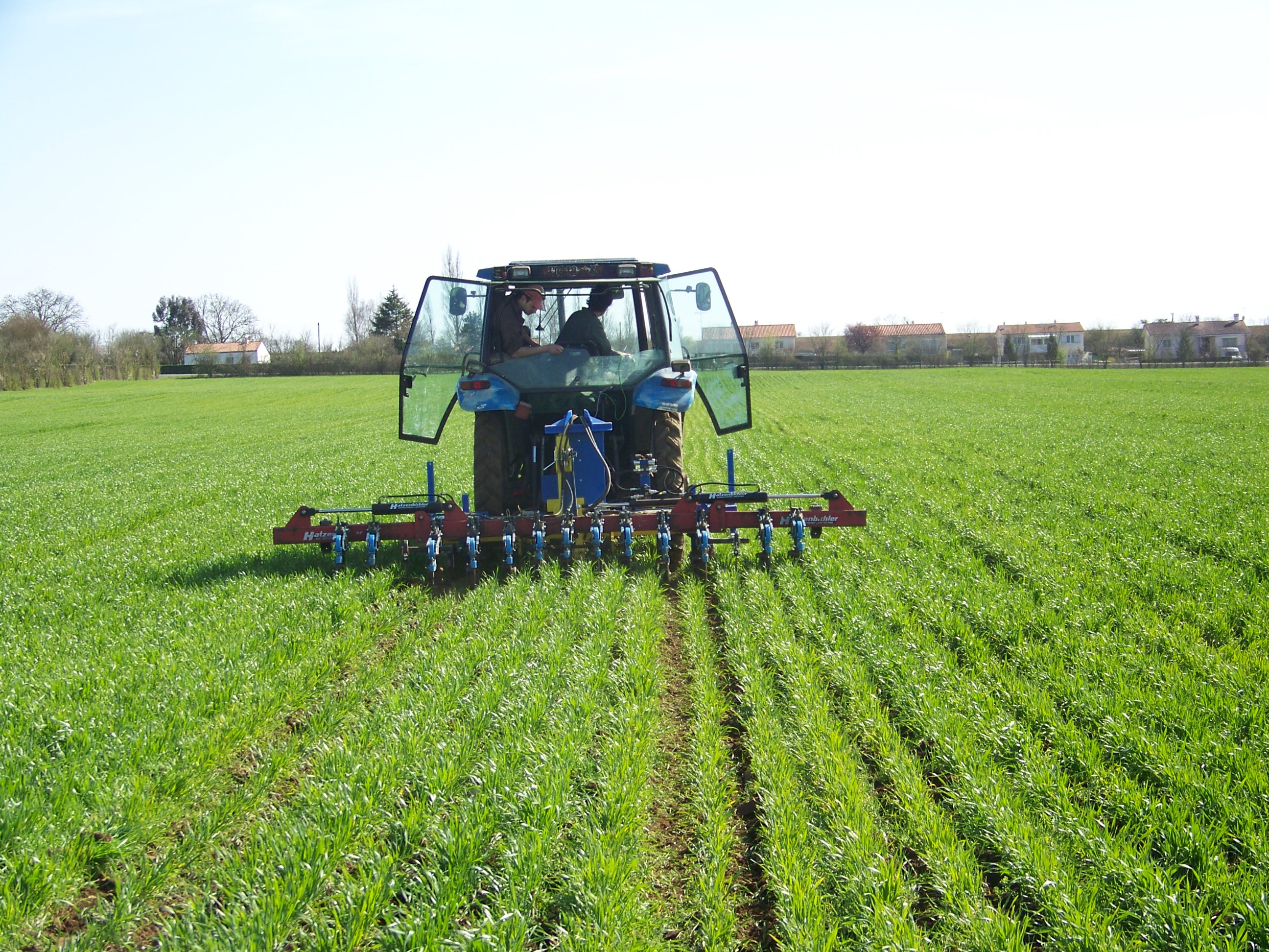 Comisia Naţională de Prognoză: România are nevoie de un mix de politici pentru comasarea terenurilor agricole