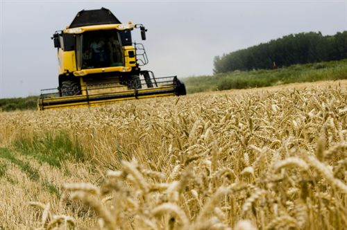 INS confirmă: 2012 a fost  un an prost pentru agricultură