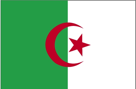 Algeria, sunt aşteptate manifestaţii „pentru schimbarea sistemului”