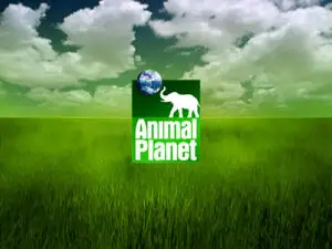 ANIMAL PLANET, scos din grila RCS&RDS