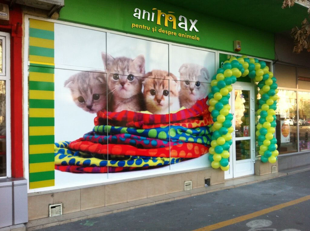 Animax reia deschiderea magazinelor stradale. Cât de profitabil este să iubeşti animalele în România