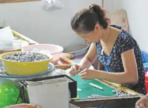 Povestea măririi şi decăderii industriei pixului