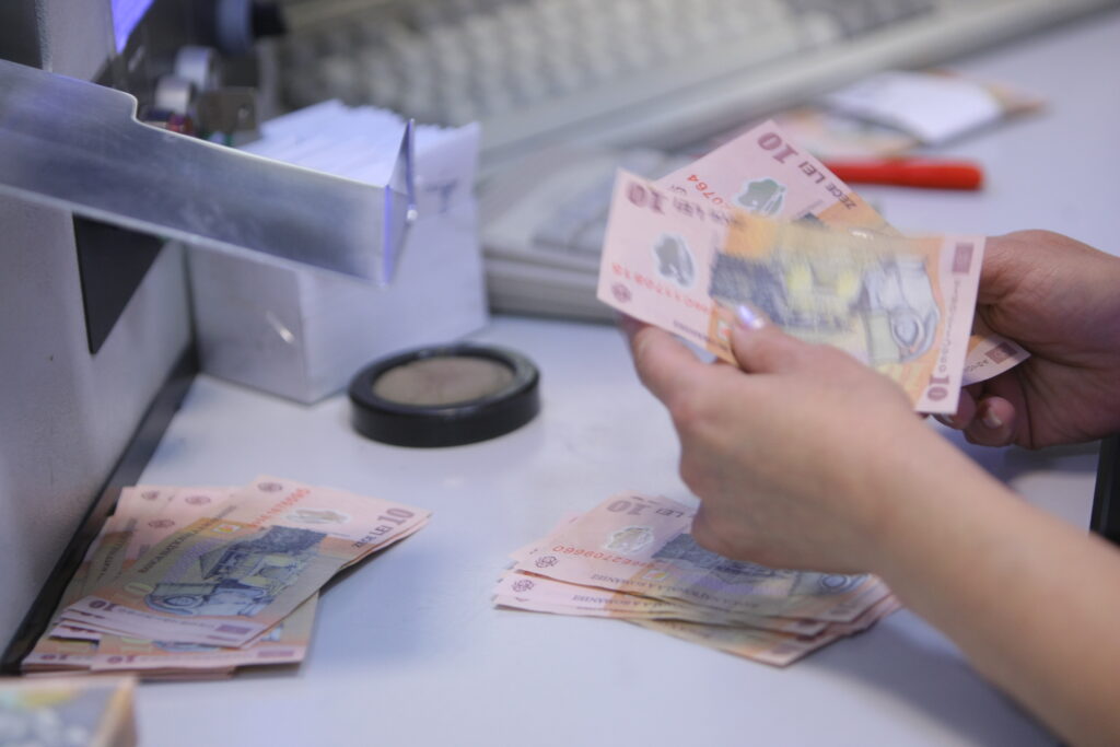 Burduja: O bancă cu capital privat românesc poate fi una dintre soluţii pentru viitorul economiei
