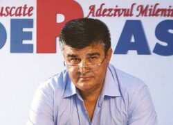 AdePlast, creștere a afacerilor de 13% la zece luni