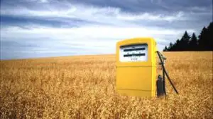 CE reduce la jumătate ţinta privind biocombustibilii