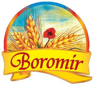 Boromir, profit de 1,349 milioane lei la finele lui 2011