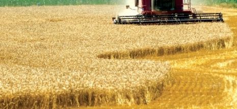 Fondul mutual unic de creditare pentru agricultură va funcţiona din octombrie