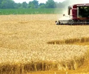 România, grad de absorbţie de 87% la fondurile europene din programul de dezvoltare rurală