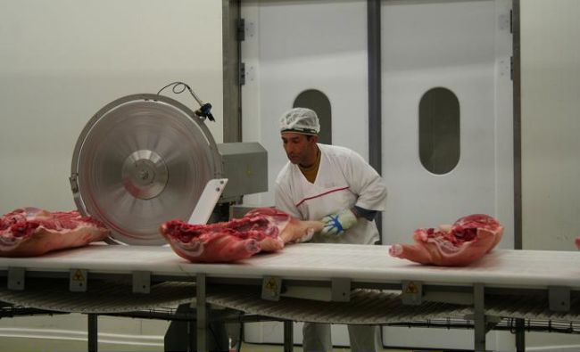 România ar putea exporta carne de porc în SUA