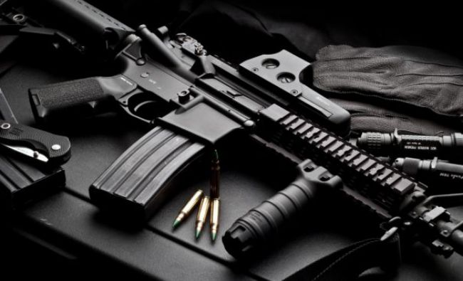 Germania a exportat anul trecut în Turcia arme în valoare de 25 mil. euro