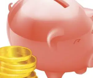 Depozitele în lei ale populaţiei au scăzut cu 0,6%, în august