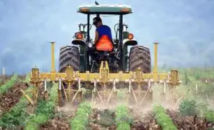 Vești bune pentru agricultori! Guvernul vine în ajutorul lor